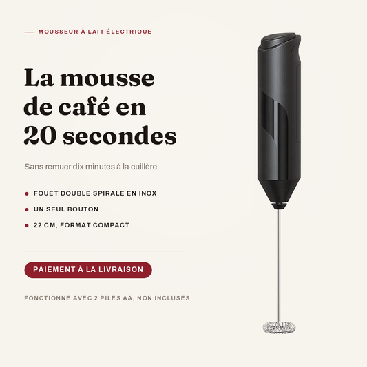 Mousseur à lait électrique